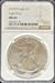 2025 Silver Eagle Privy MS69 NGC