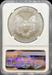 2013 Silver Eagle MS69 NGC