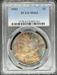 1902 Morgan Dollar MS63 PCGS Toner