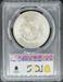 1891 Morgan Dollar MS64 PCGS