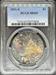 1891-S Morgan Dollar MS65 PCGS CAC Toned