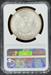 1896 Morgan Dollar MS64 NGC