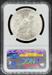 1923-D Peace Dollar MS62 NGC