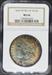 1878 7TF Reverse 78 Morgan Dollar MS64 NGC Toned